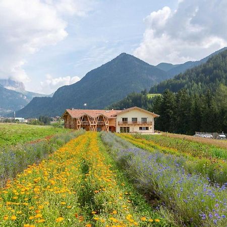 Eco-Green Fiores Agriturismo Villa Vigo di Fassa Esterno foto